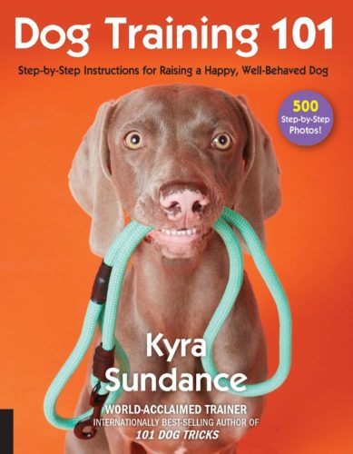 5 Copies of 'Dog Training 101' to Giveaway!