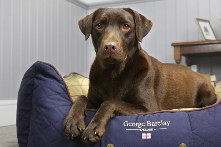 Win a George Barclay Country Box Bed!