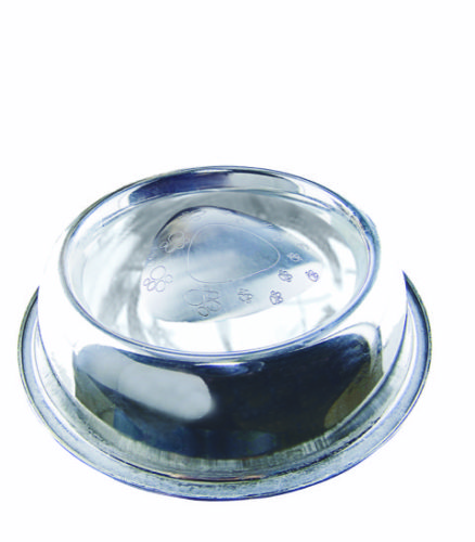 Win a Pet Water Magnet!