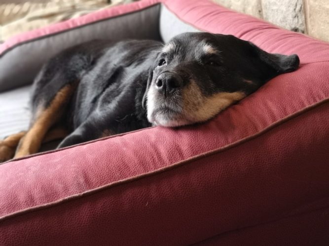 Win a George Barclay Hursley Sofa Bed!