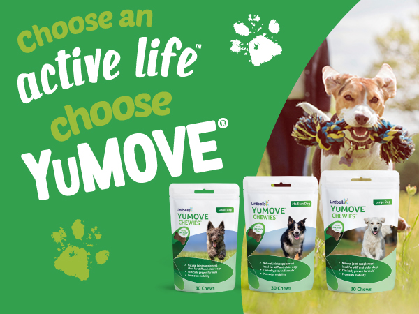 Win a Bundle of YuMOVE ONE-A-DAY Chewies!