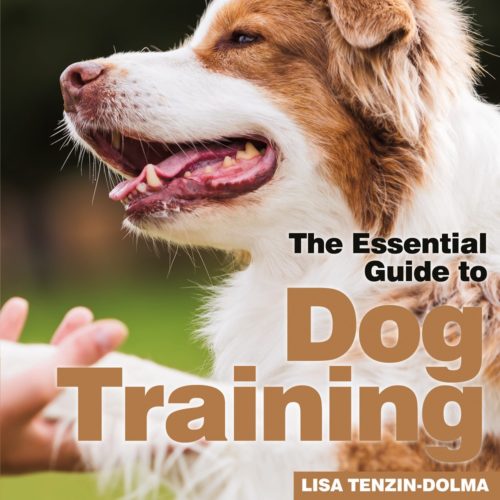 5 Copies of 'The Essential Guide to Dog Training' to Giveaway!