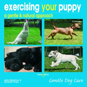 exercisingyourpuppy-offers&freebies