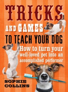 Tricks And Games Book