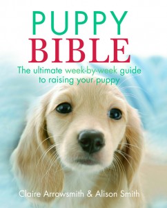 Puppy Bible cover