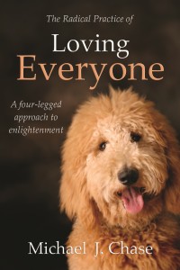 Radical Practice of Loving Everyone book cover