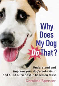 Why Does My Dog front cover