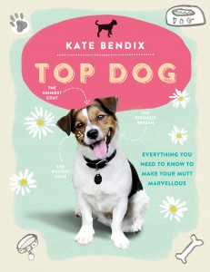 Top Dog book cover