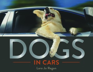 Dogs in Cars book cover
