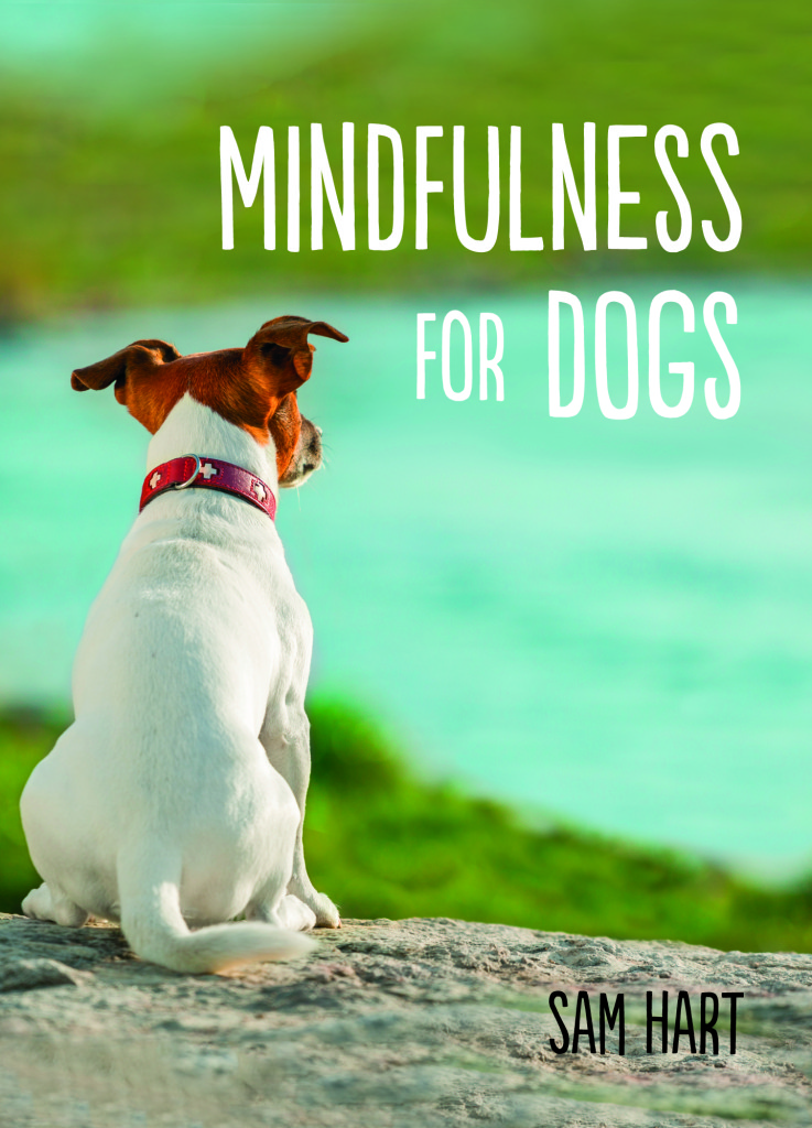 mindfulness for dogs_cover ideas 2.indd