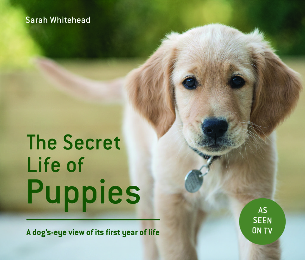 the-secret-life-of-puppies